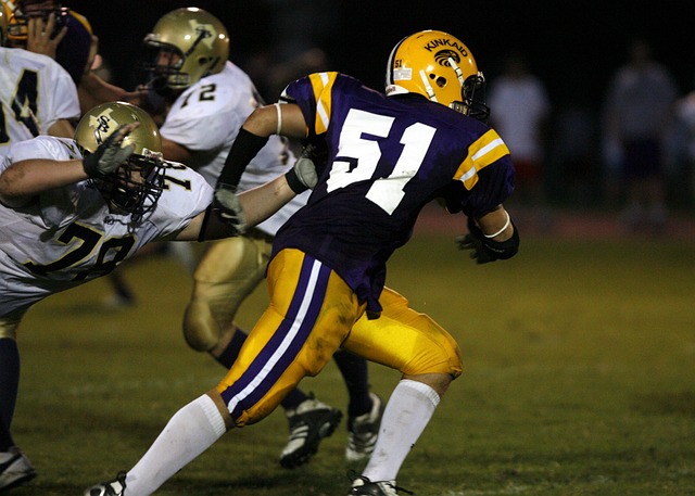 己的技术 己的技术