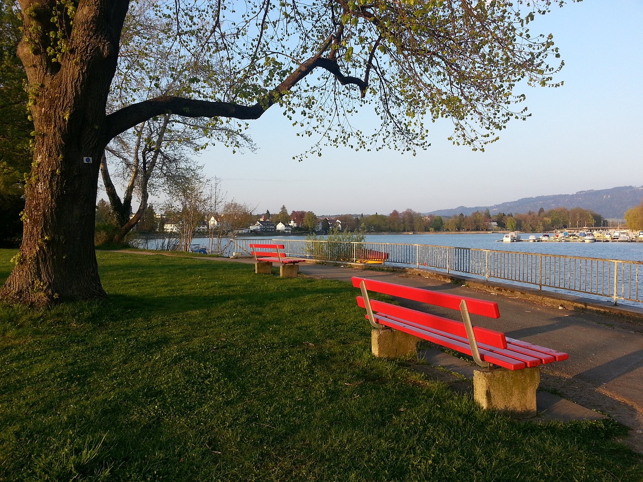 将会越走越 将会越走越