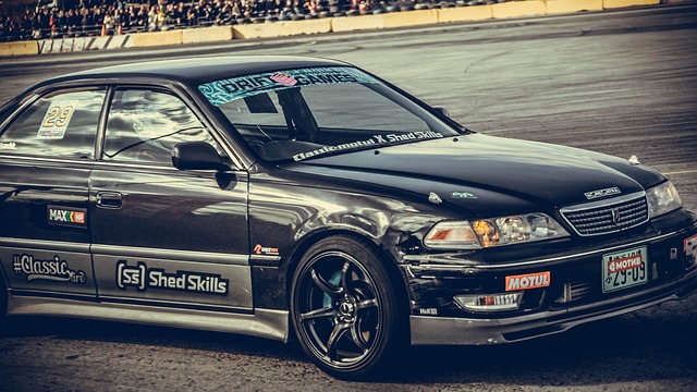 行为不予处 行为不予处