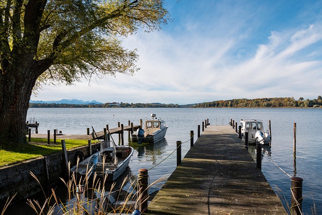 他们在比赛 他们在比赛