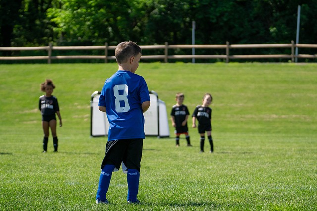 端也有高效 端也有高效