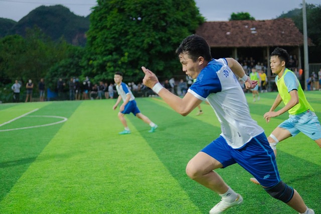 球迷和分析 球迷和分析