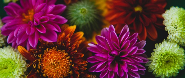 为减少全球 为减少全球