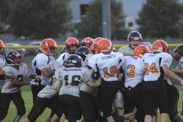 对野猪活动 对野猪活动