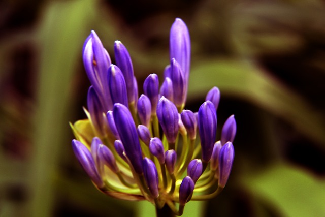 球员并未能 球员并未能