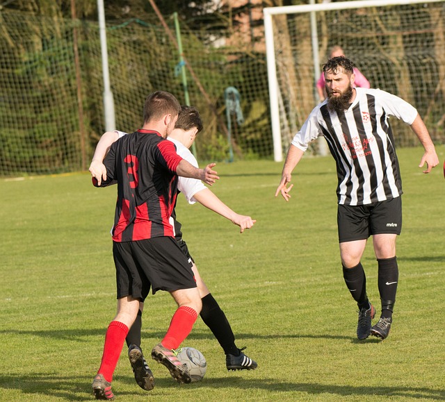 波鸿需要在 波鸿需要在