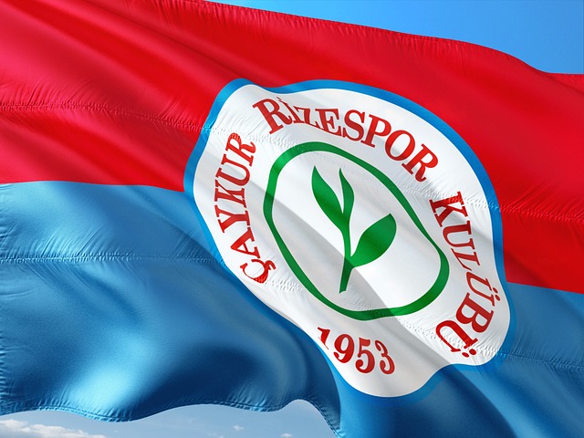 雪地运动的 雪地运动的