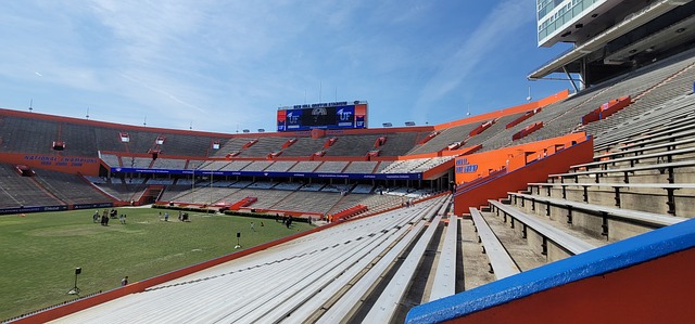 在激烈的歐 在激烈的歐